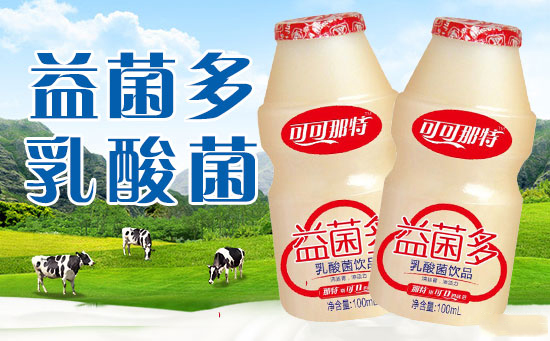 可(kě)可(kě)那特乳酸菌